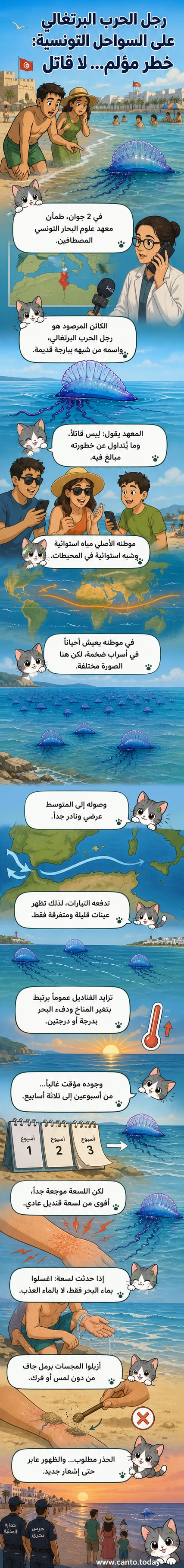 كائن بحري شفاف يشبه البارجة يطفو على سطح البحر، مع مظلة زرقاء وذيول طويلة