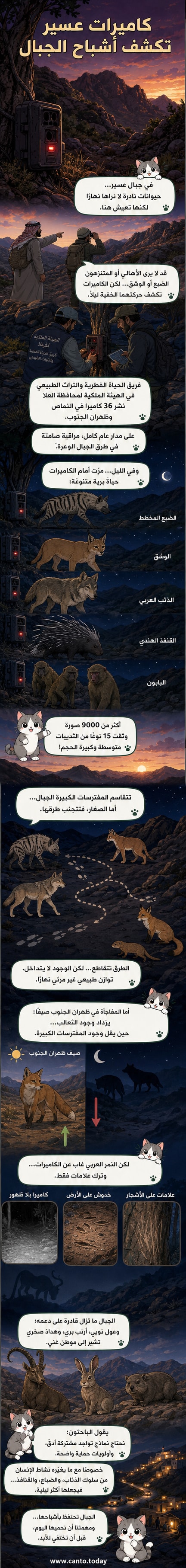 رسم توضيحي لحيوانات ليلية مثل الوشق والضبع تتحرك في جبال عسير تحت ضوء القمر، مع كاميرات مراقبة مخفية بين الصخور والنباتات.