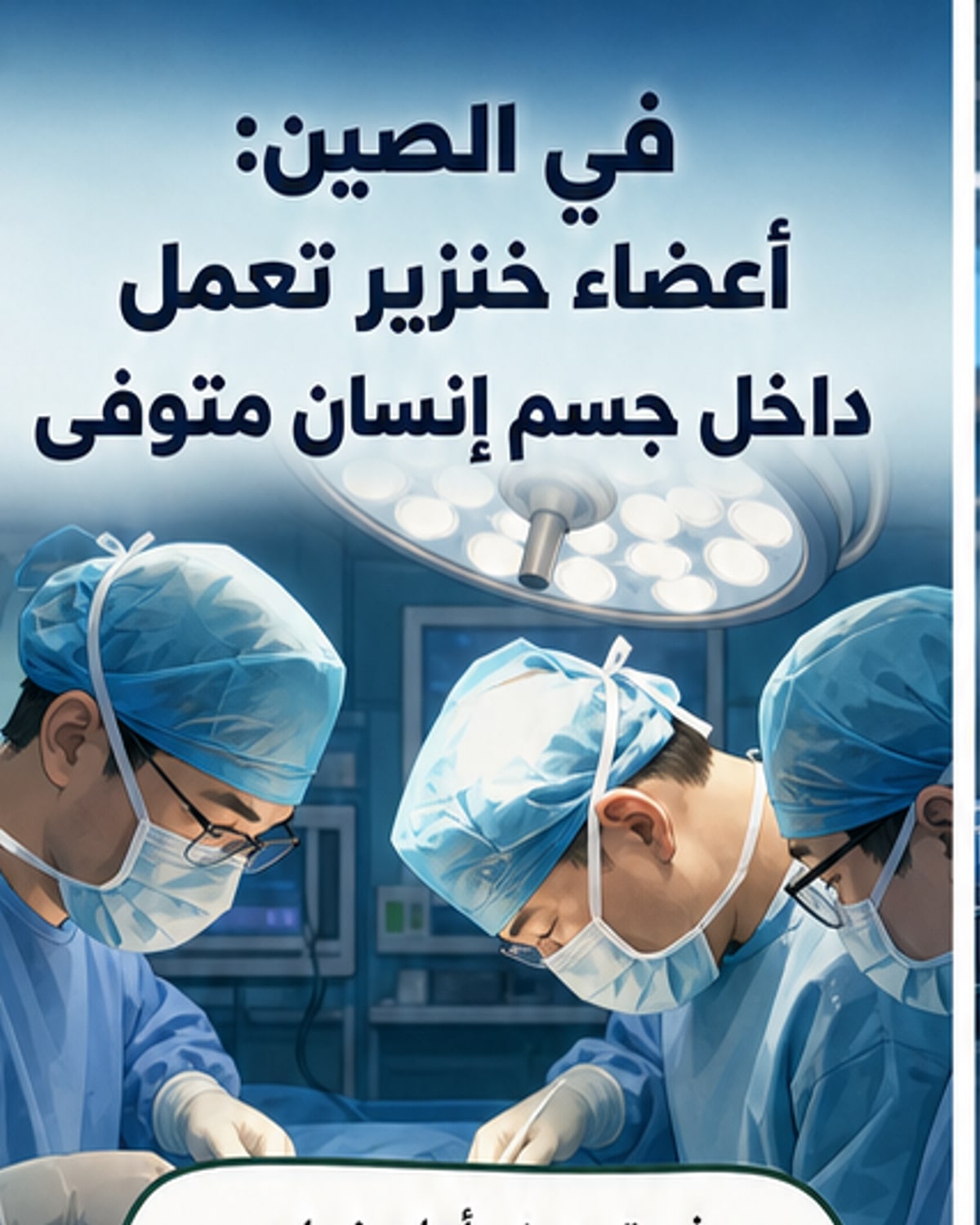 نجاح زراعة كبد وكليتين من خنزير