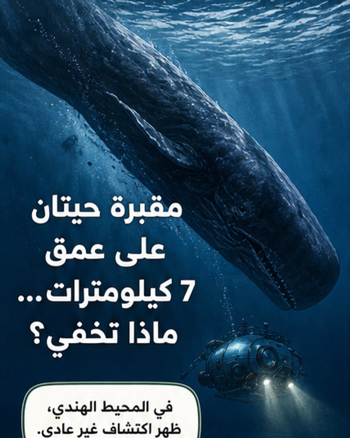 اكتشاف مقبرة حيتان عميقة عمرها 5 ملايين عام