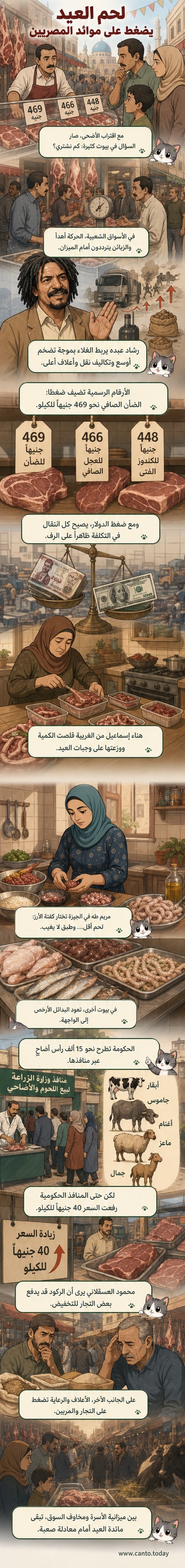 سيدة مصرية تقف أمام منضدة بيع لحوم في سوق شعبية، مع لافتة تُظهر أسعاراً مرتفعة للكيلوغرام