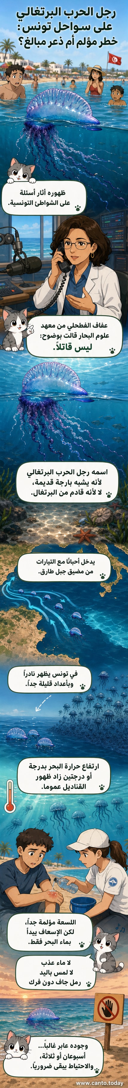 رسم توضيحي لكائن بحري شفاف يشبه البارجة، يطفو على سطح البحر، مع تفاصيل علمية حول هيكله ومكان ظهوره في تونس
