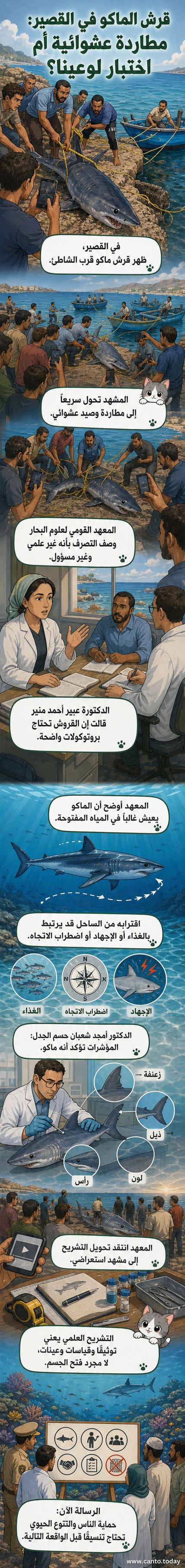 رسم توضيحي لقرش الماكو في مياه البحر الأحمر، مع إبراز شكل الزعنفة الظهرية والذيل المميز، وخلفية تُظهر شاطئ القصير وعلم مصر.
