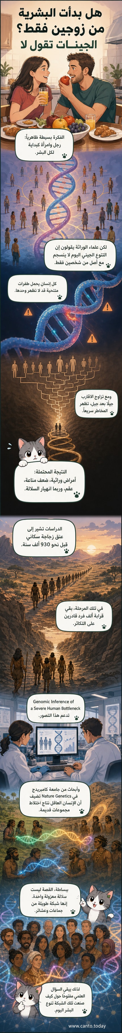 رسم توضيحي يوضح كيف نشأت البشرية من مجموعة صغيرة من الألف بدلاً من زوج واحد، مع تدفق جيني عبر مجموعات بشرية قديمة.