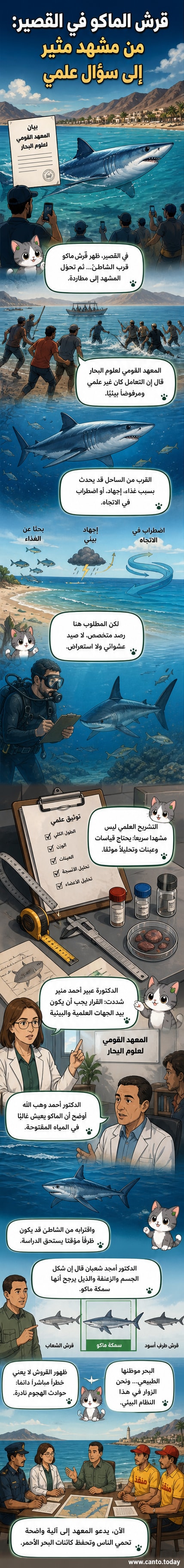 رسم توضيحي لقرش الماكو في مياه القصير، مع علماء يراقبون من بعيد بينما يصطاده آخرون ويصورونه كعرض استعراضي.