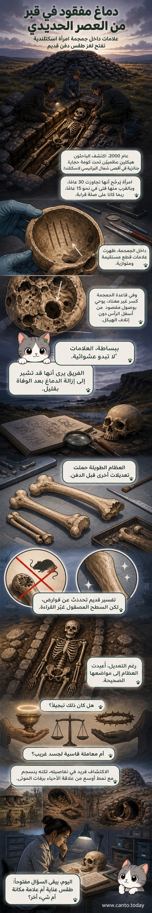 رسم توضيحي لجمجمة امرأة من العصر الحديدي مع علامات قطع على القاعدة، وعظام طويلة منحوتة بعناية، في سياق طقس دفن قديم.