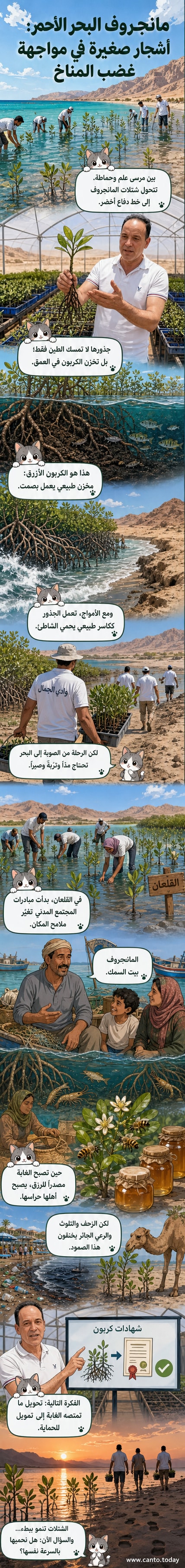 مشهد لغابة من أشجار المانجروف تنمو في مياه البحر الأحمر، مع شباب يزرعون شتلات جديدة على الشاطئ، في بيئة صحراوية تلتقي بالمحيط.