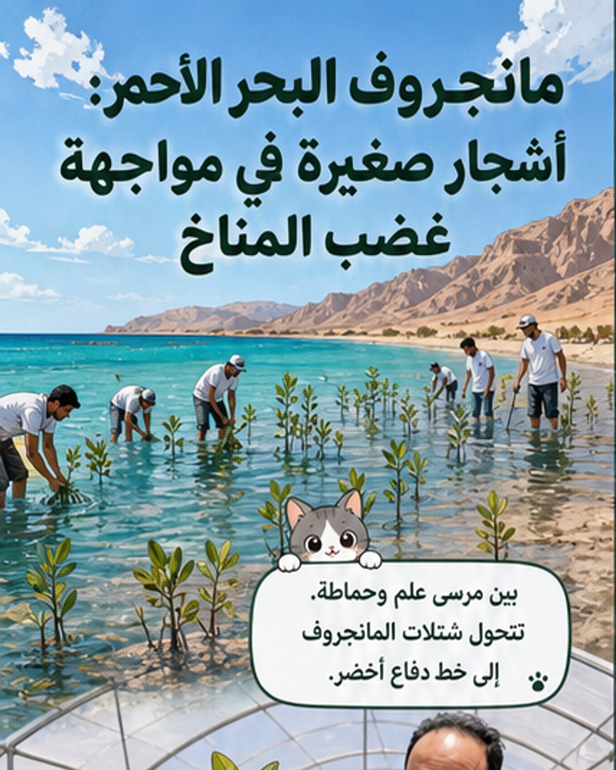 غابات المانجروف تُنقذ السواحل المصرية