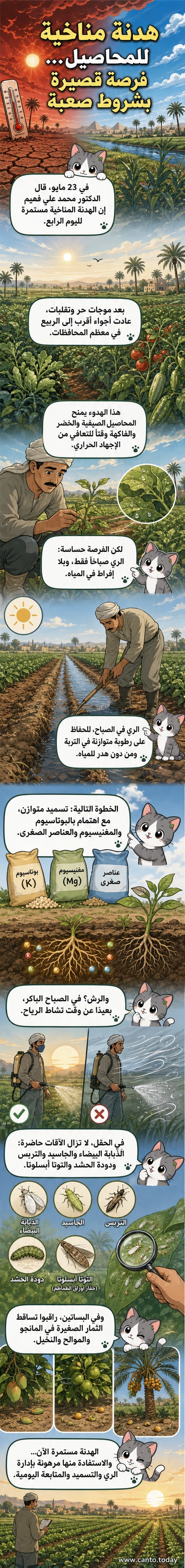 رسم توضيحي يظهر مزارعًا يتفقد محاصيله تحت سماء معتدلة، مع أيقونات تدل على الرياح المعتدلة ودرجات الحرارة المنخفضة بعد موجة حر.