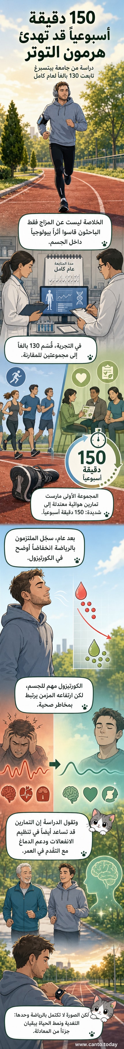 رسم توضيحي يظهر شخصًا يمارس الجري، مع رسم بياني يوضح انخفاض مستوى هرمون الكورتيزول في الجسم بمرور الوقت.