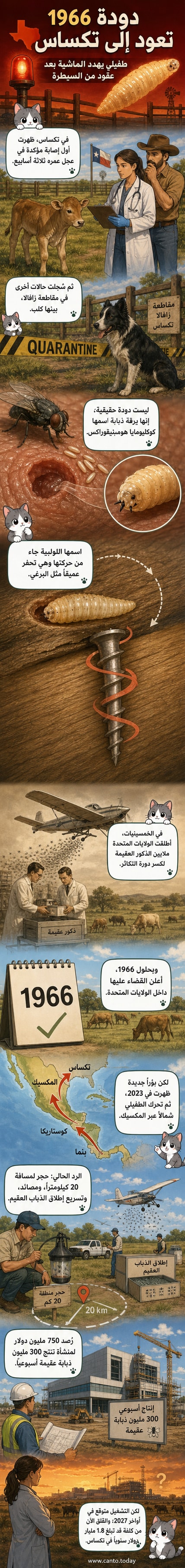 رسم توضيحي ليرقة ذبابة تتحرك داخل جرح حيوان، مع خلفية تُظهر رقعة زراعية وحشرات طائرة في السماء.