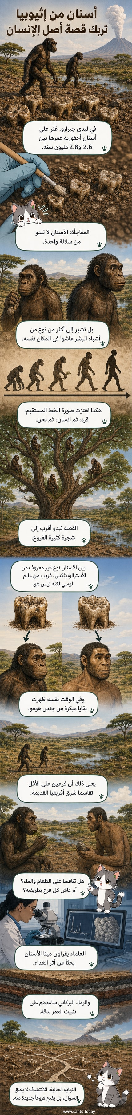 رسم توضيحي يُظهر مشهدًا قديمًا في إثيوبيا مع أنواع مختلفة من أشباه البشر وسط بيئة خضراء، وخلفية جبلية نشطة بركانيًا.