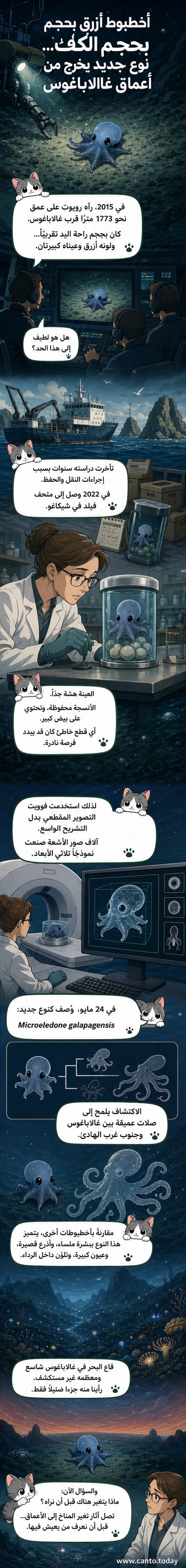 رسم توضيحي ثلاثي الأبعاد لأخطبوط صغير أزرق اللون بعينين كبيرتين، يظهر في بيئة محيطية عميقة مع خلفية جبلية تحت الماء.