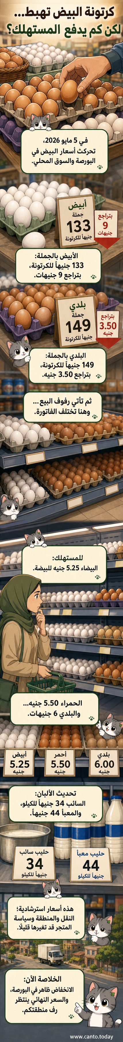 رسم توضيحي يوضح تراجع أسعار كرتونات البيض في بورصة الدواجن المصرية يوم 5 مايو 2026، مع مقارنة بين أسعار الجملة والتجزئة لأنواع البيض المختلفة.