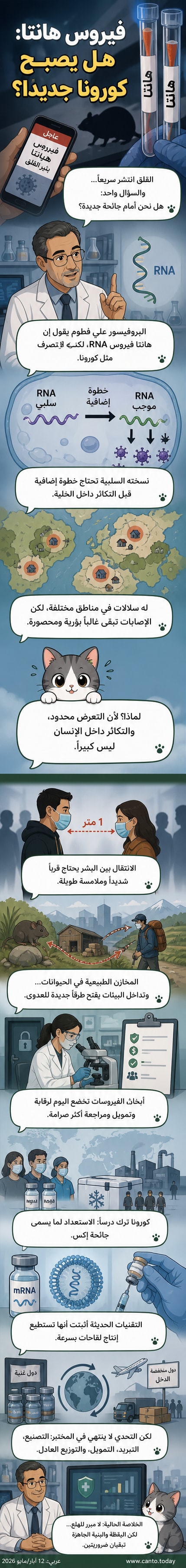 رسم توضيحي لفيروس هانتا مع خلية بشرية، يظهر آلية دخوله وتكاثره المحدود مقارنة بفيروس كورونا.