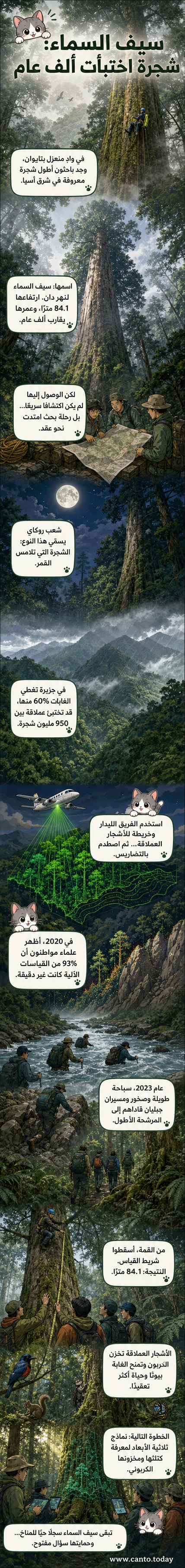 رسم توضيحي لشجرة عملاقة ترتفع فوق غابة تايوانية، مع إبراز ارتفاعها البالغ 84.1 متراً وعمرها الألف عام