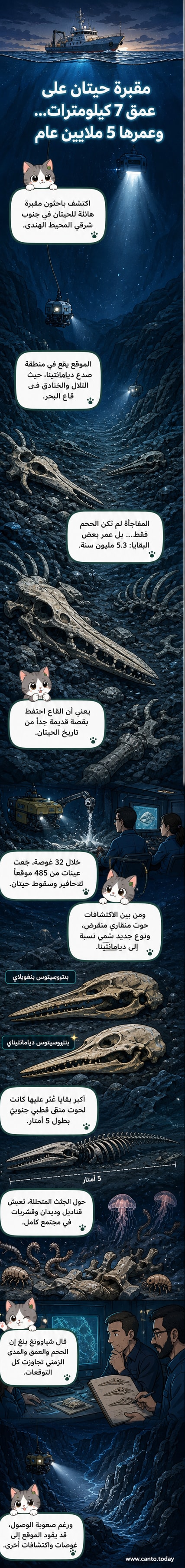 رسم توضيحي لمقبرة حيتان في قاع المحيط الهندي، مع هياكل عظمية متحجرة محاطة بكائنات بحرية صغيرة تتغذى على البقايا، في بيئة مظلمة على عمق 7 كيلومترات.