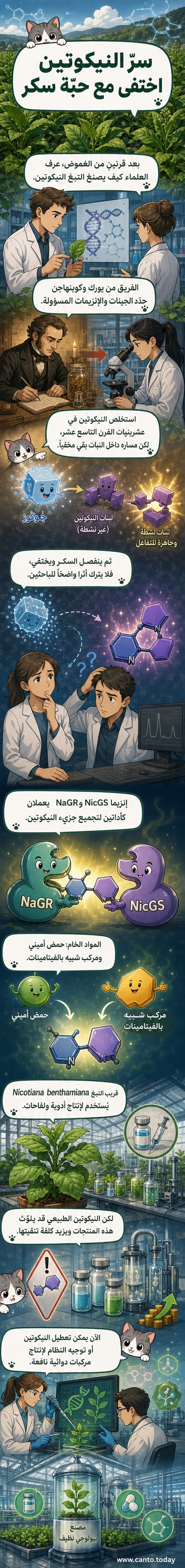 رسم توضيحي لنبات التبغ مع تضخيم داخلي يظهر الجينات والإنزيمات المسؤولة عن إنتاج جزيئات النيكوتين داخل الخلايا النباتية.