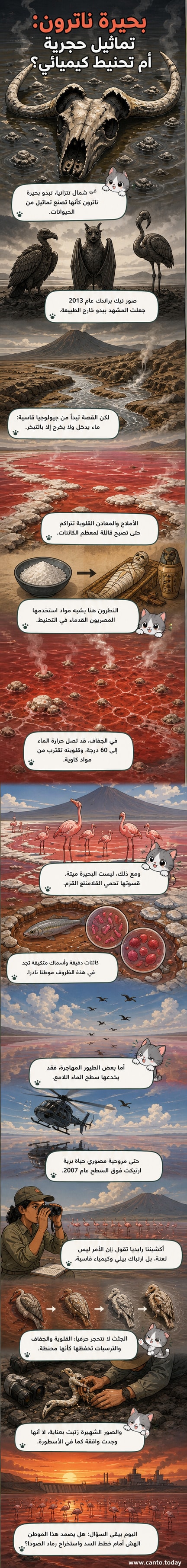 صورة لطيور على شاطئ بحيرة ناترون في تنزانيا، تظهر مياهها الحمراء وبيئتها القاحلة، مع بقايا حيوانات تبدو كتماثيل ملحية
