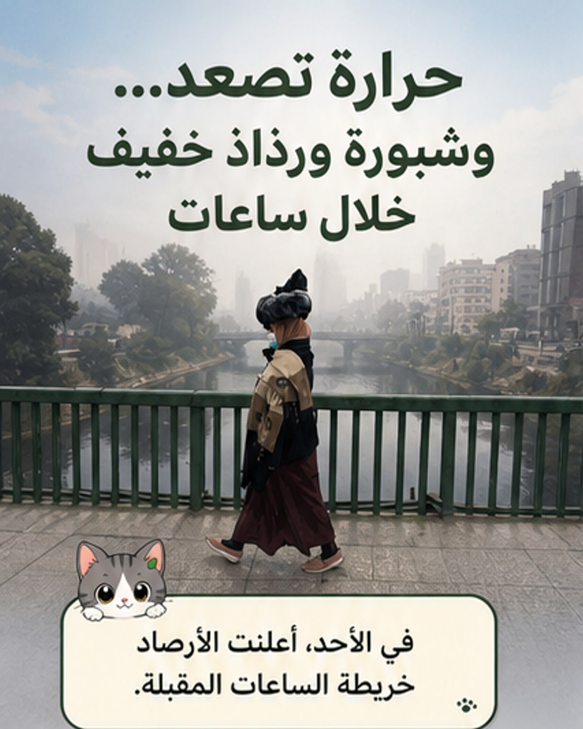 رذاذ خفيف متوقع في مناطق متفرقة