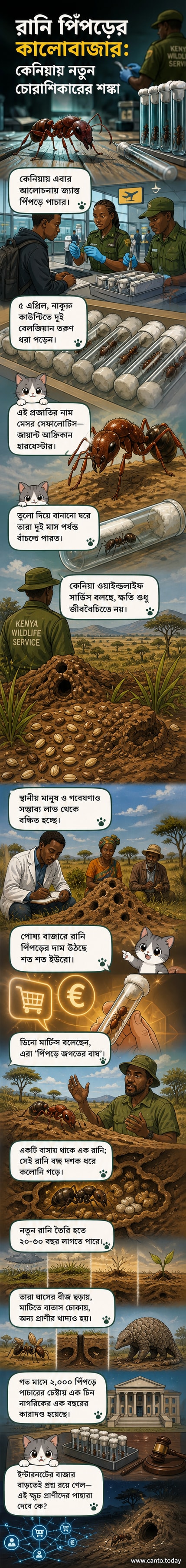 টেস্টটিউবে লুকানো হাজার হাজার রানি পিঁপড়ে নিয়ে কেনিয়া থেকে পাচারের চেষ্টা, পটভূমিতে প্রাকৃতিক বাসস্থানের ছবি।