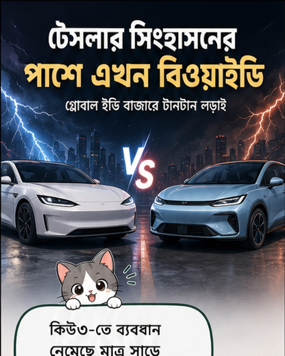 বিওয়াইডি টেসলার গতি কমাল