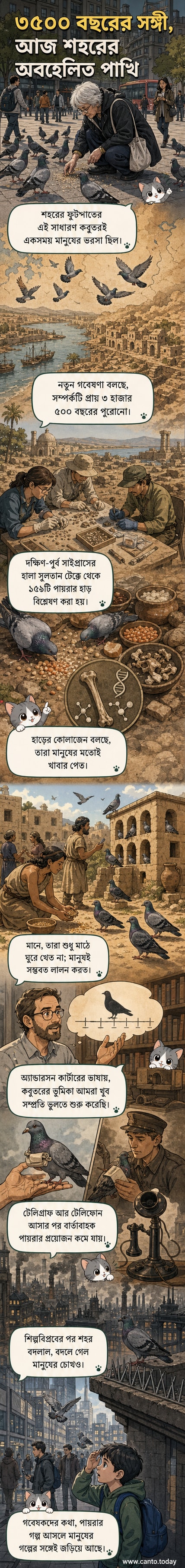 প্রাচীন সাইপ্রাসের প্রত্নতাত্ত্বিক স্থানে পাওয়া কবুতরের হাড় ও আধুনিক শহুরে কবুতরের ছবি পাশাপাশি দেখানো হয়েছে, যা মানুষের সঙ্গে তাদের প্রাচীন থেকে আধুনিক সম্পর্কের বিবর্তন তুলে ধরে।