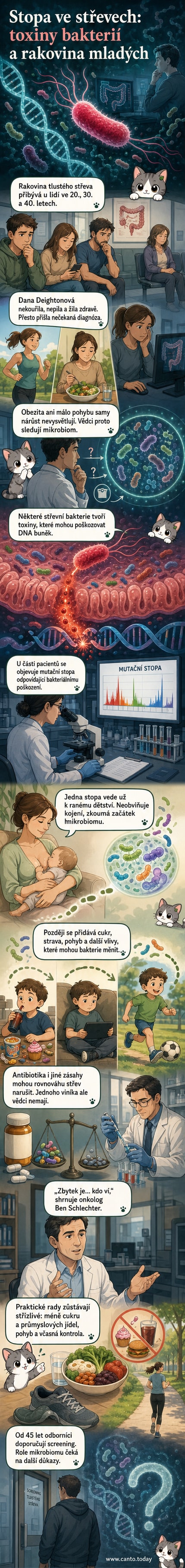 Ilustrace lidského trávicího traktu s detailním zobrazením tlustého střeva, kde bakterie produkují toxin poškozující DNA – vizuální zastoupení vědeckého mechanismu spojeného s rakovinou.