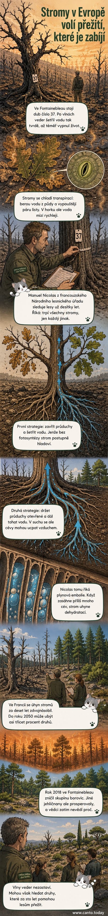 Ilustrace suchého lesa s vyprahlou půdou a stromy s opadanými listy, na pozadí horké oblohy. Jeden strom má odklizené větve a vypadá osaměle.