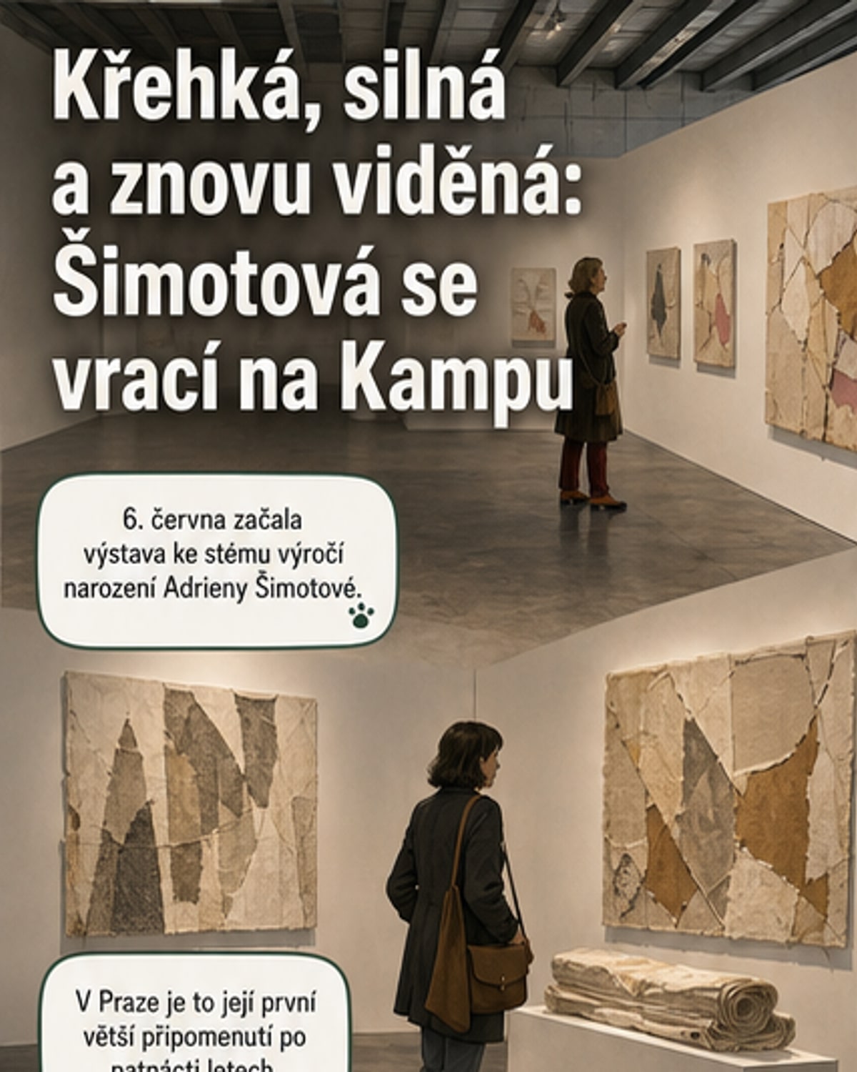Výstavní pohled na prořezávané papírové a textilní díly Adrieny Šimotové ve světle v Museum Kampa