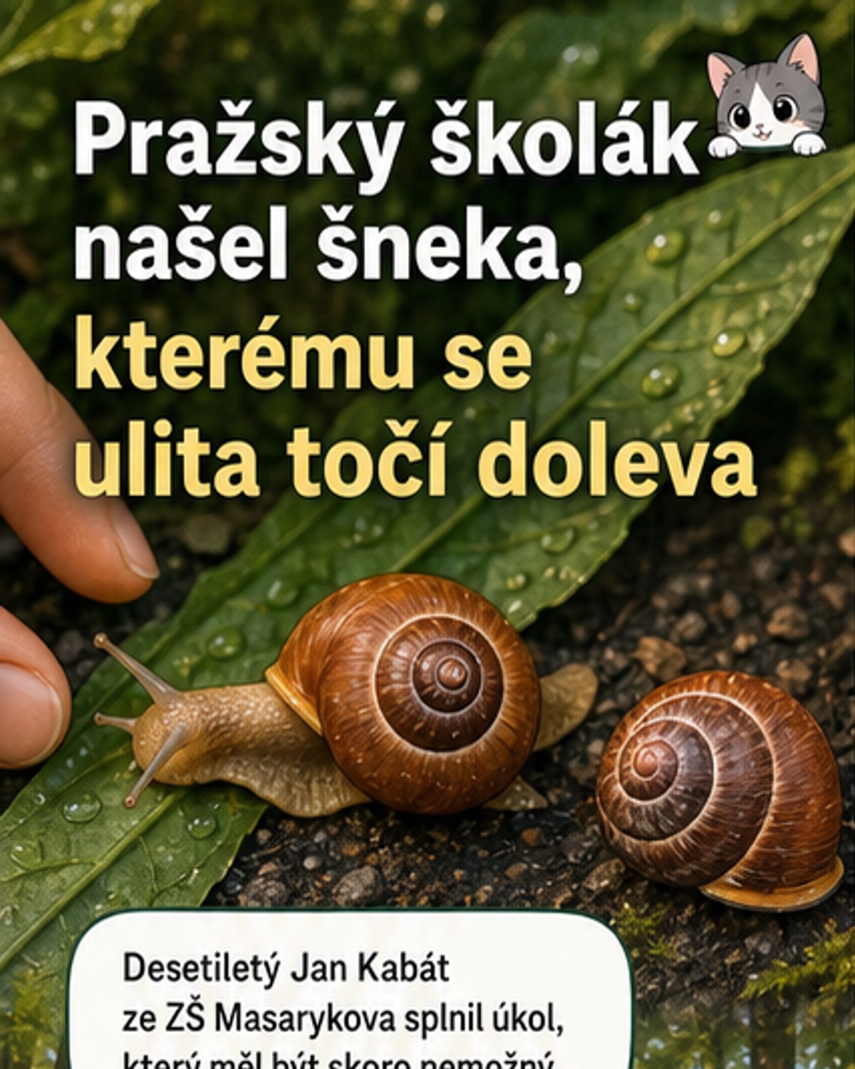 Ilustrace dítěte klečícího v trávě, které ukazuje na malého šneka s levotočivou ulitou, na pozadí přírodní rezervace a lektora v uniformě.
