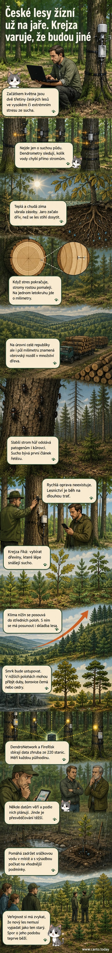 Ilustrace českého lesa s částí odumřelých smrků a nově vysazovanými listnatými dřevinami, na pozadí teploměr ukazuje rostoucí teploty.