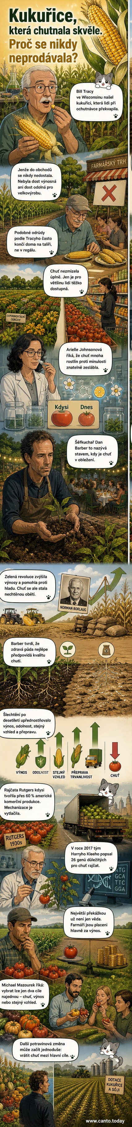 Ilustrace znázorňující porovnání chutného, ale křehkého rajčete z minulosti s moderním, pevným, ale bezchutným plodem na pozadí velkých polí a sklizňových strojů.