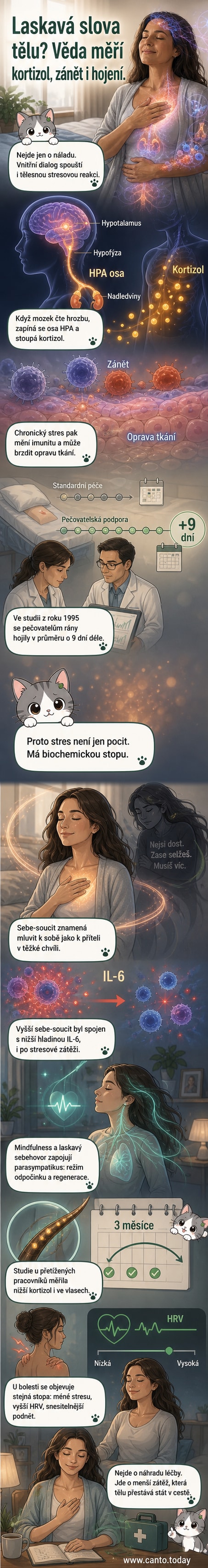 Ilustrace mozku a nervového systému s vlnovkami myšlenek a klesající křivkou zánětlivých markerů, symbolizující vliv laskavého vnitřního dialogu na tělo.