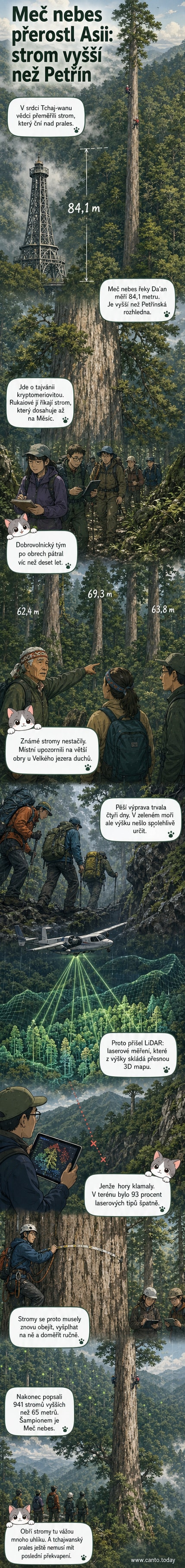 Ilustrace obří tajvánie kryptomeriovité v pralese na Tchaj-wanu, jejíž koruna sahá vysoko nad ostatní stromy, v pozadí hory a mlha.