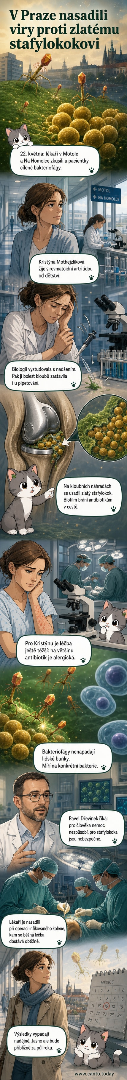 Ilustrace bakteriofágu, jak napadá bakterii zlatého stafylokoka – mikroskopický virus s hlavou a nožkami na povrchu bakteriální buňky.