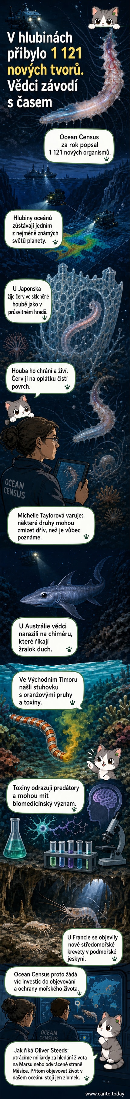Ilustrace tří nově objevených mořských tvorů: červ ve skleněné houbě, oranžová stuhovka a temný žralok duch ve tmavém oceáně.