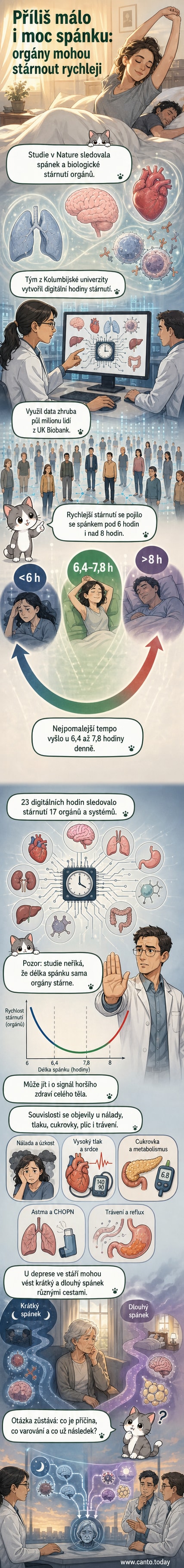 Ilustrace člověka spícího v posteli, kolem hlavy obkroužené ikony mozku, srdce a hodin, symbolizující vliv spánku na biologické stárnutí orgánů.