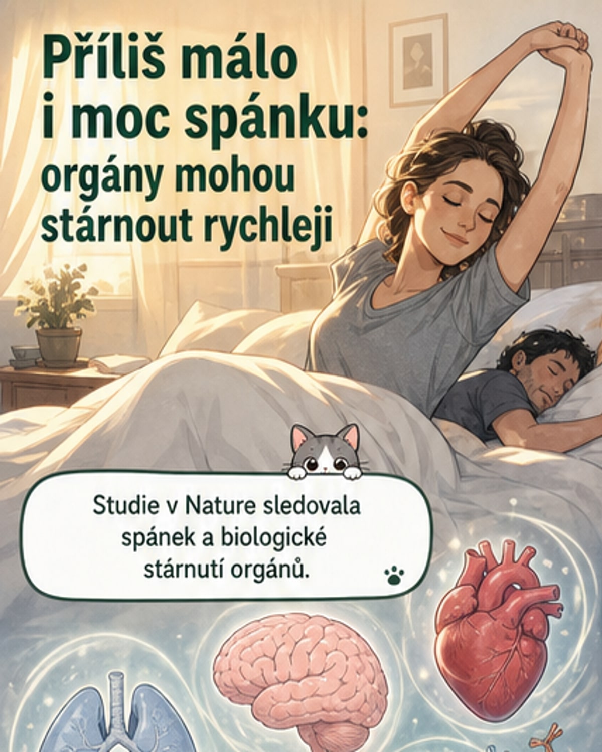 Nedostatek i nadbytek spánku urychluje stárnutí
