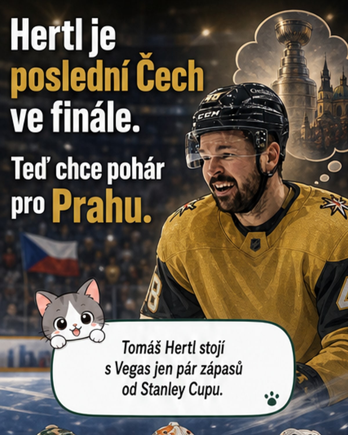 Hertl jediný Čech ve finále NHL