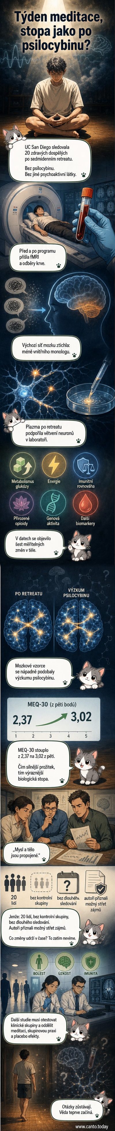 Ilustrace lidského mozku s označením oblastí, kde se po týdnu meditace objevily změny podobné psychedelickým – snížená aktivita výchozí sítě a nové nervové spojení.