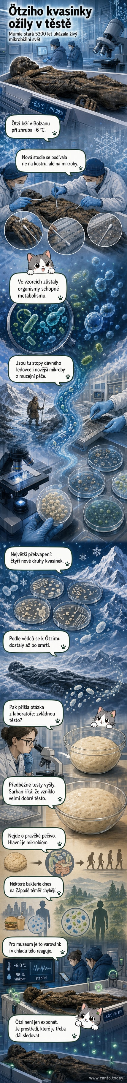 Ilustrace vědců odebírajících vzorky z mumie Ötziho, na pozadí mikroskopické snímky kvasinek a schéma jejich rozšíření v těle.