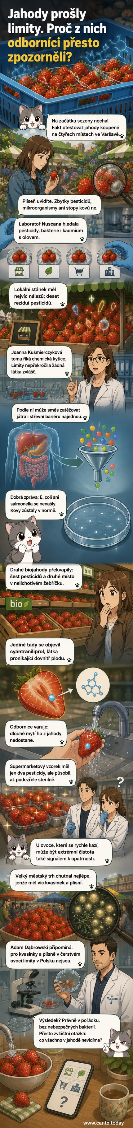 Ilustrace jahod s lupou, která ukazuje neviditelné pesticidy a mikroorganismy uvnitř plodů.