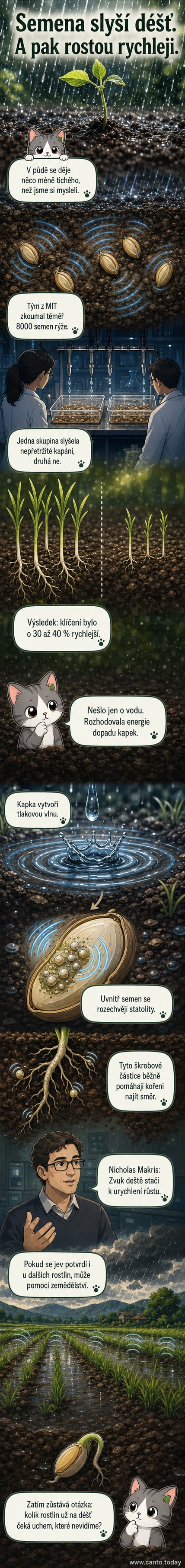 Ilustrace semene rýže pod mikroskopem, které reaguje na zvukové vlny od padajících kapek deště, kolem něj vibrující škrobová zrnka.