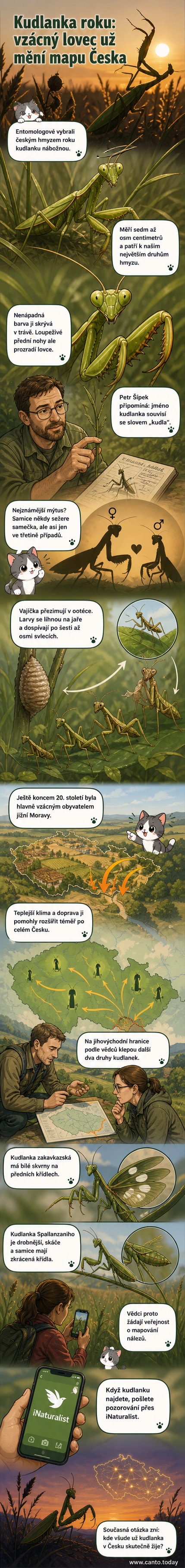 Ilustrace kudlanky nábožné s pozvednutýma předníma končetinama, stojící na listu v přírodním prostředí.
