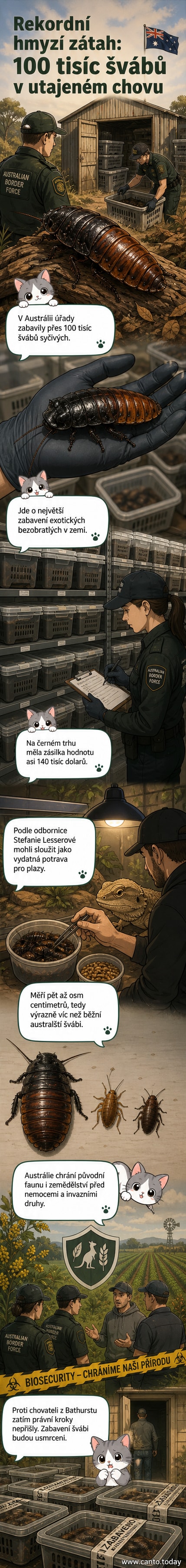 Zabavený šváb syčivý z Madagaskaru leží na ruce úředníka, jeho velikost přesahuje lidský palec.