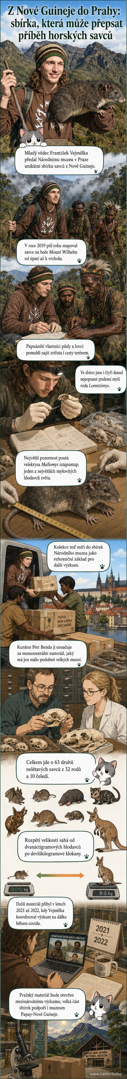 Fotografie části biologické sbírky s kůžemi a lebkami savců z Nové Guineje, včetně velké hlodavice a malých myší, uložených v muzejních skříních.