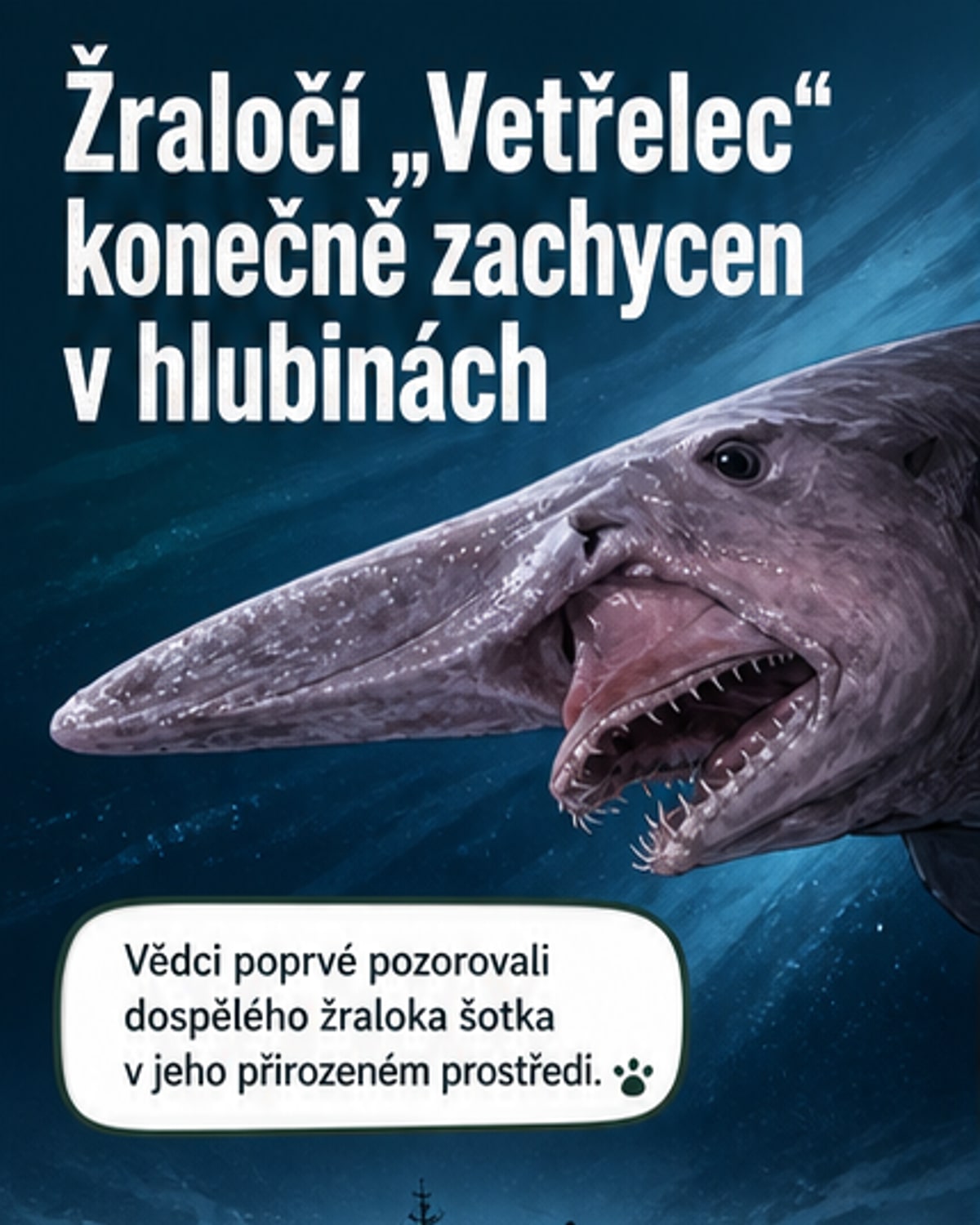 Poprvé zachycen žralok „Vetřelec“