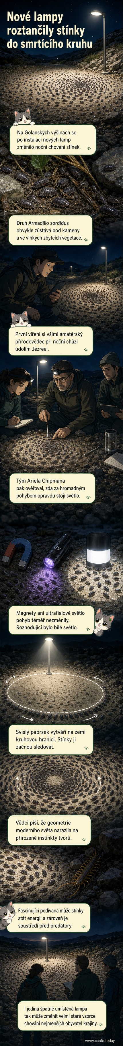Ilustrace tisíců stínek kroužících v synchronizovaném kruhu kolem pouliční lampy na tmavém pozadí, s naznačeným světelným paprskem a stínem na zemi.