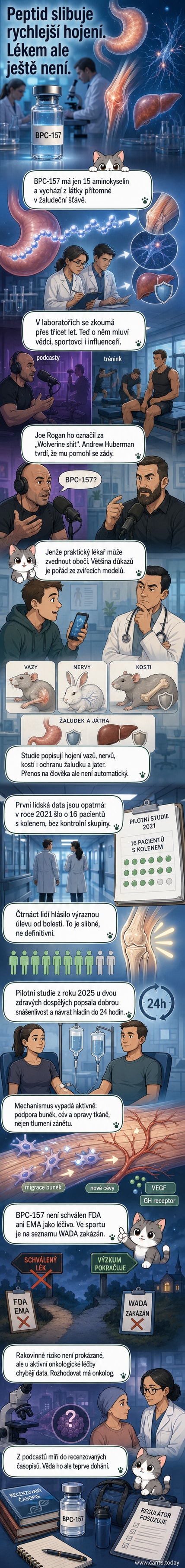 Ilustrace peptidu BPC-157 v lidském těle, s detaily na žaludku, kloubu a nervu, ukazující regenerační účinky.